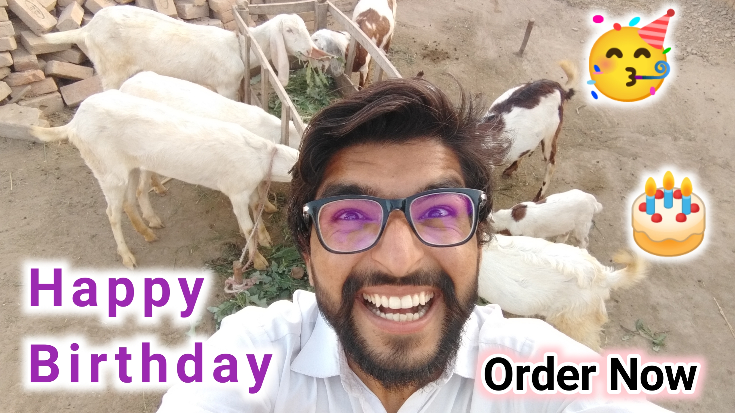 Funny Birthday Wish Cover